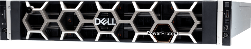 dell powerprotect data manager DM5500